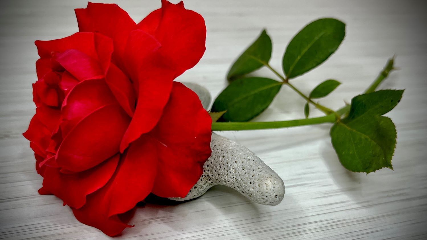 Berubah Pikiran || MELESAT CEPAT KEARAHMU || JAN’24