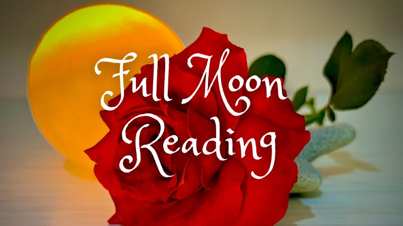 Left Behind, Unanswered || PURNAMA IN VIRGO || FEB'24