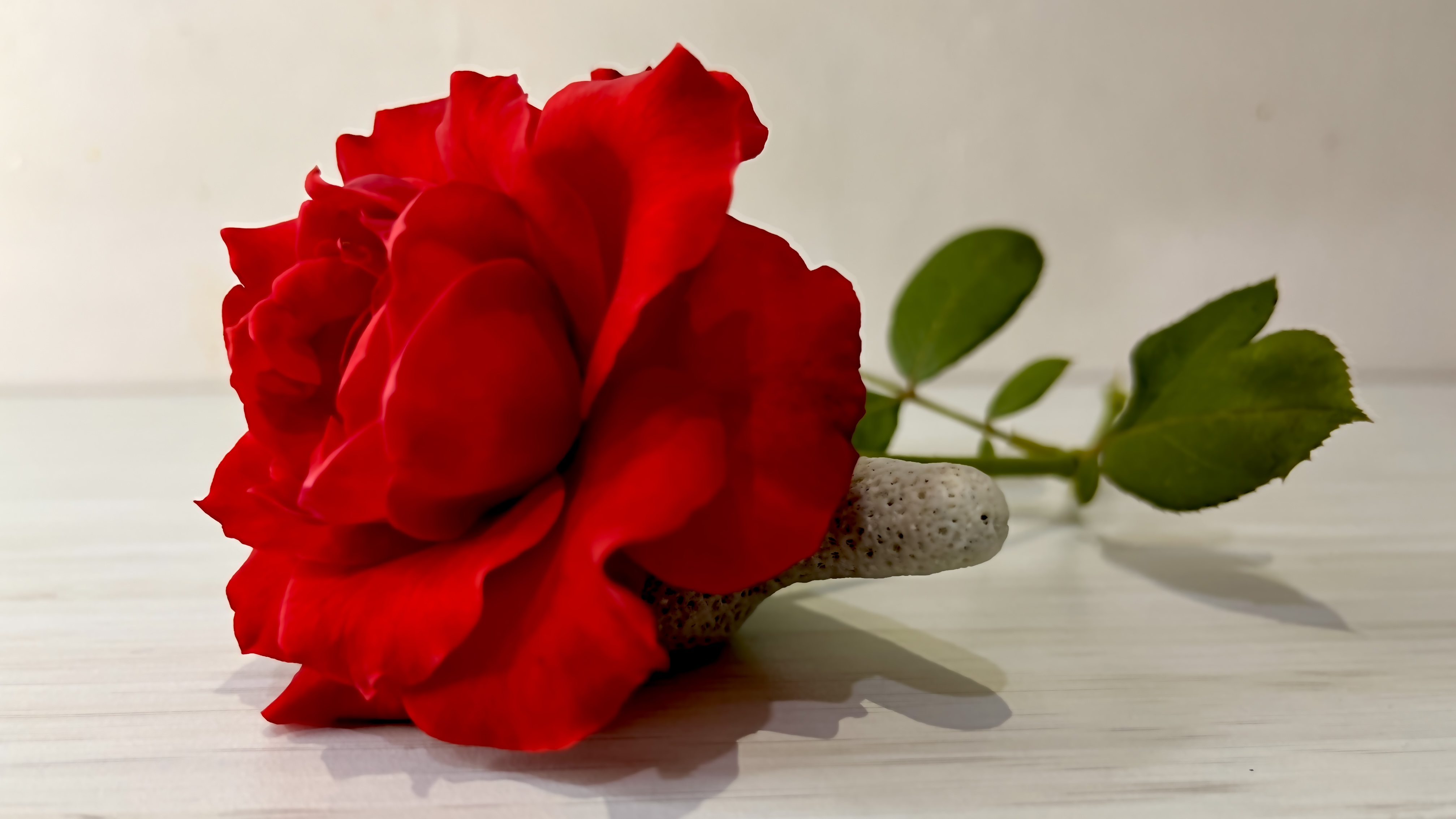 Too Much || KEKASIH TAK DIANGGAP || OCT'25 