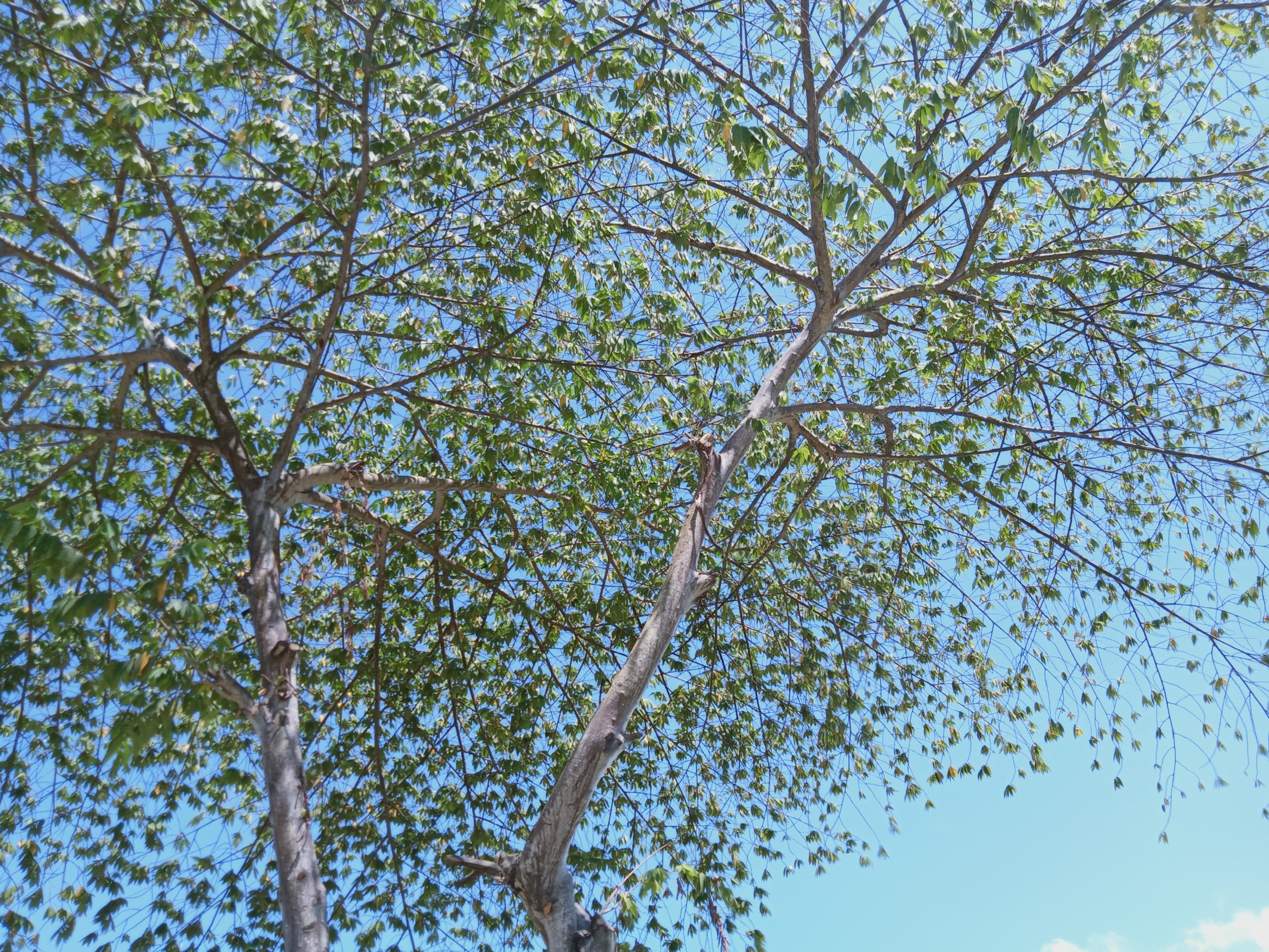 Bertumbuh Melalui Masalah