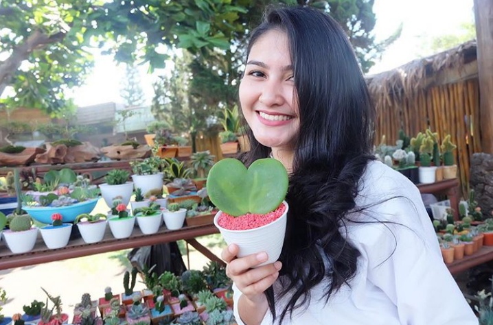 Cahaya Sebuah Senyuman Cinta