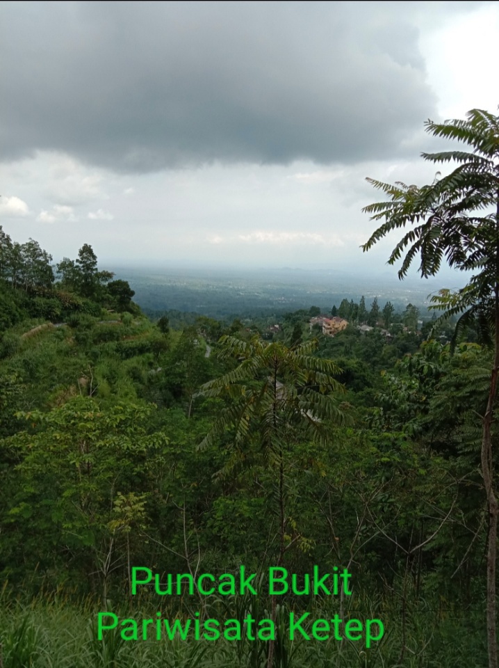 Gunung Merapi