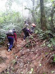 Menebus Perjalanan Emas Menuju Kemilaunya Kharomah Permata.