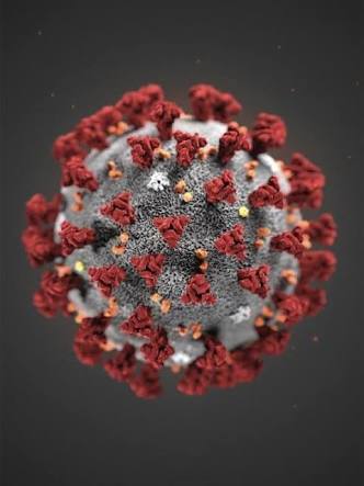 NOVEL CORONA VIRUS, COVID-19