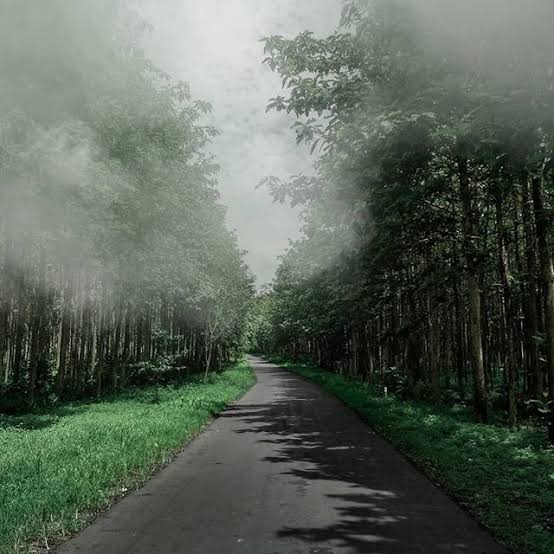 Perbatasan Hutan Jati Sumedang dan Misteri Dusun Jagawana