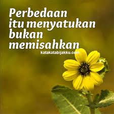 Perbedaan Bukan Halangan Kemungkinan Sebuah Rasa Cinta