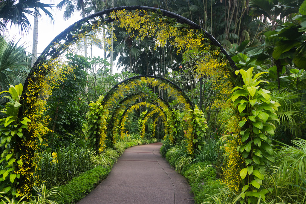 Anda Seharusnya Tidak Pernah Berpikir Tentang Berkebun Rumah Organik Sampai Anda Membaca Ini!