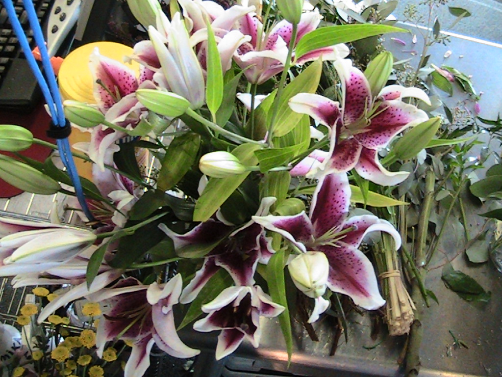 Florist di Medan: Menghadirkan Kebahagiaan melalui Bunga