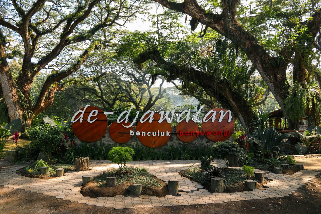 Paket Wisata Baluran Pilihan Tepat untuk Menikmati Alam Liar yang Masih Asri